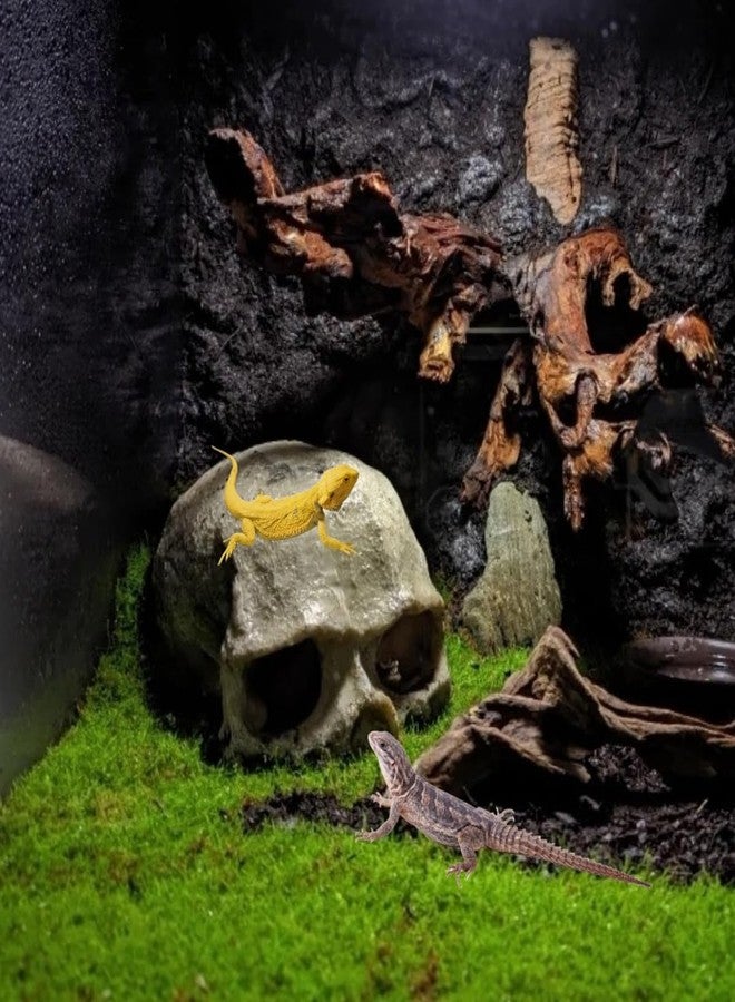 Odebyata Aquarium Terrarium Skull Decor, Reptile Hide House Shelter Cave for Geckos Spider Lizard Snake, Fish Tank Hide Cave House Hideouts Stones for Small Fish Shrimp Betta Crab Guppy Cichlids (Black) - Image 4